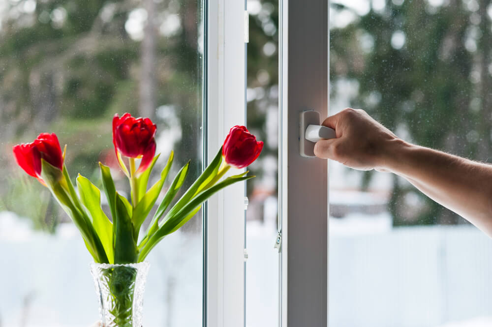 Tilt and Turn Window Flowers