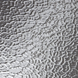 Arctic Glass Ferndown