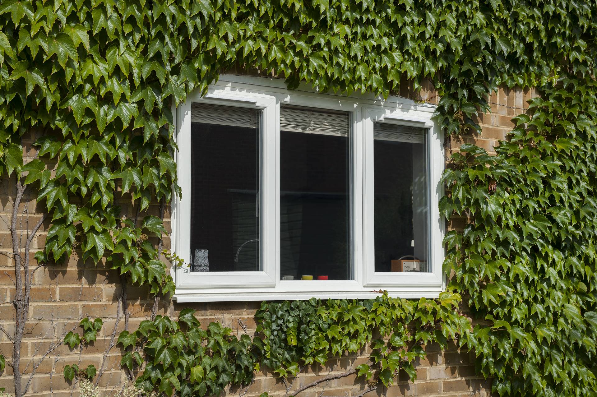 Casement Windows Trade Supply in Aldershot